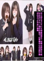 クラスNO1.2の二人をハメまくり映像