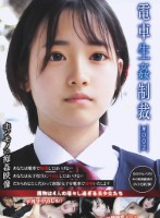 電車生姦制裁 #002