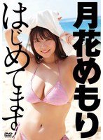 月花めもり はじめてます/月花めもり