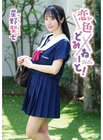 恋色どみねーと!/星野聖七