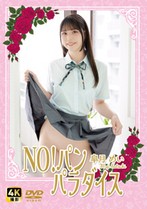 NO!パンパラダイス 皐月めい