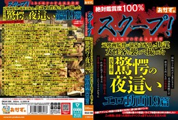 スクープ!とある地方の有名温泉旅館 元映画監督が温泉支配人と共謀 女性客を襲って撮った真冬の夜の驚愕の夜●いエロ動画19篇